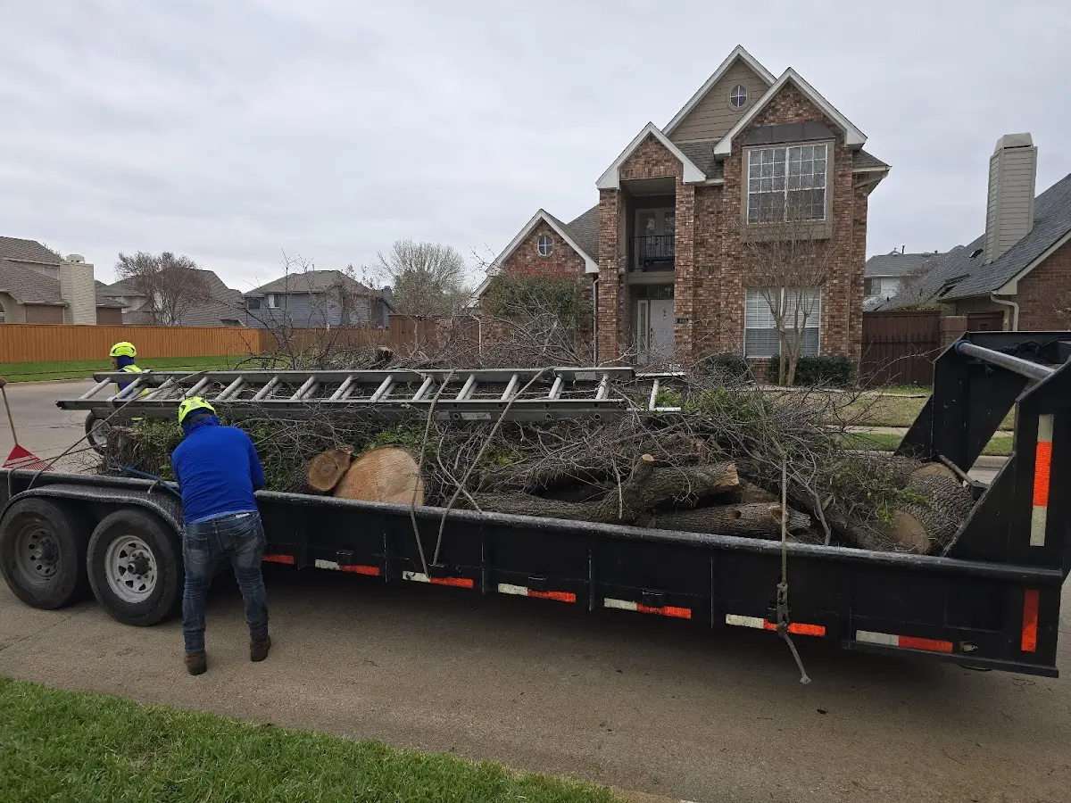 Expert Tree Fertilization with proper safety equipment in Harper